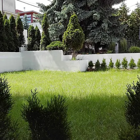 Raido ホームステイ *